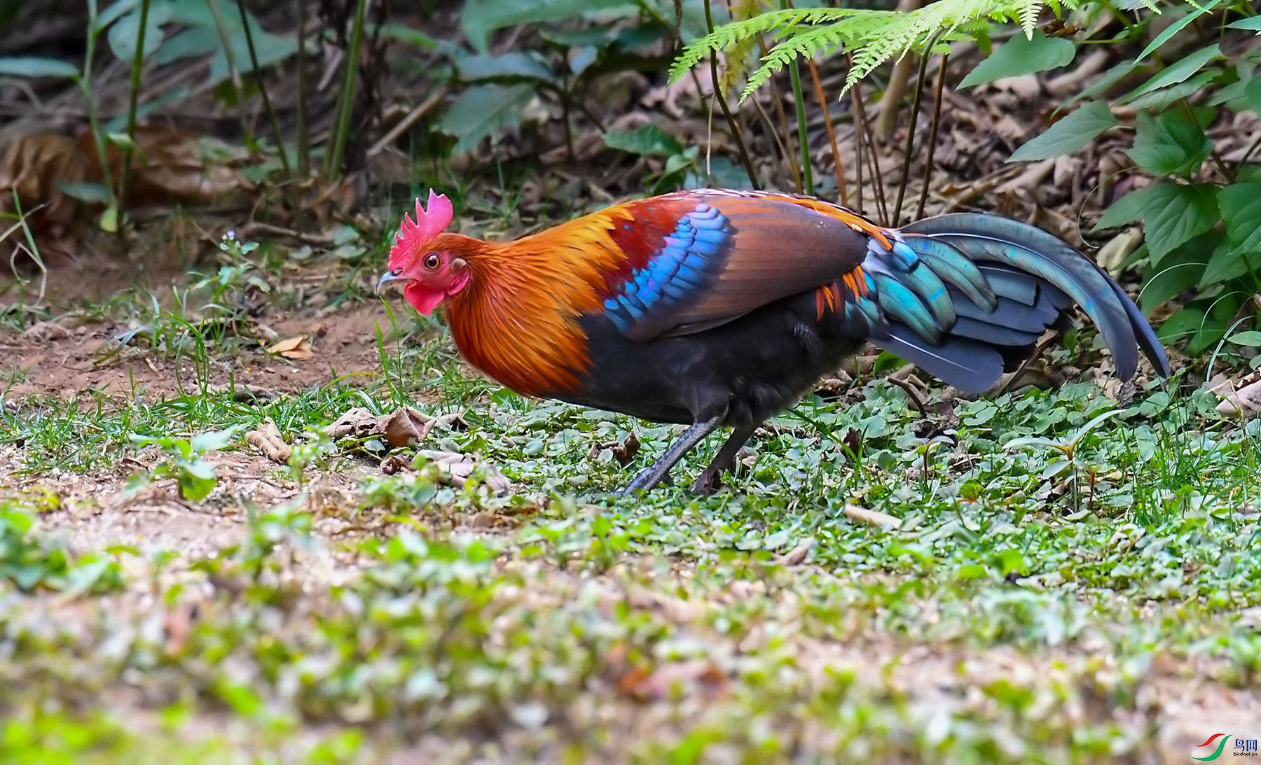 DSC_6258.jpg