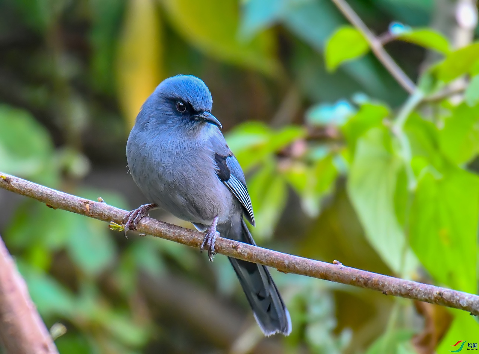 DSC_9956.jpg
