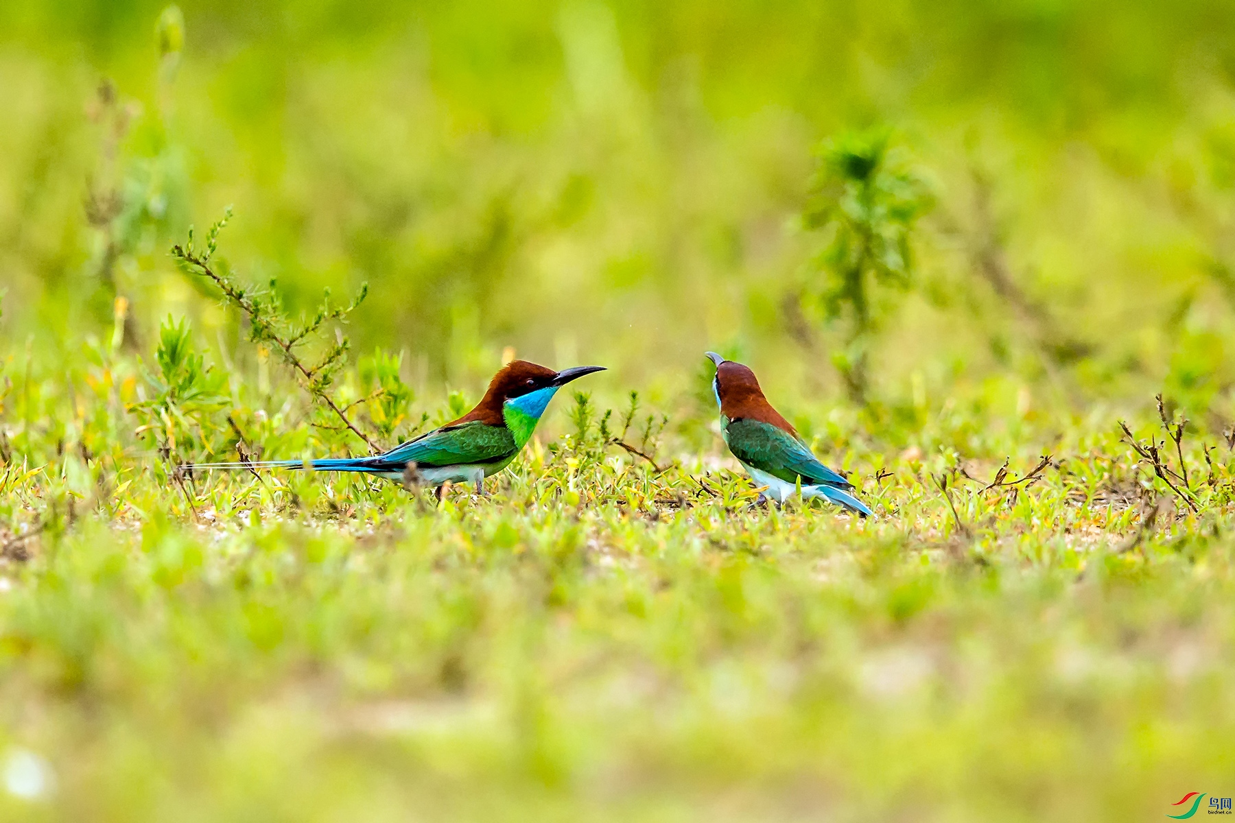 _TAO9405.jpg