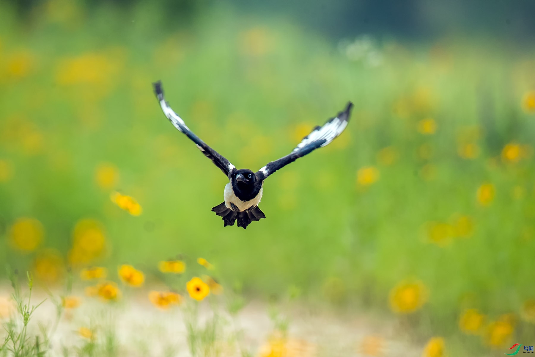 _U5I9482.jpg