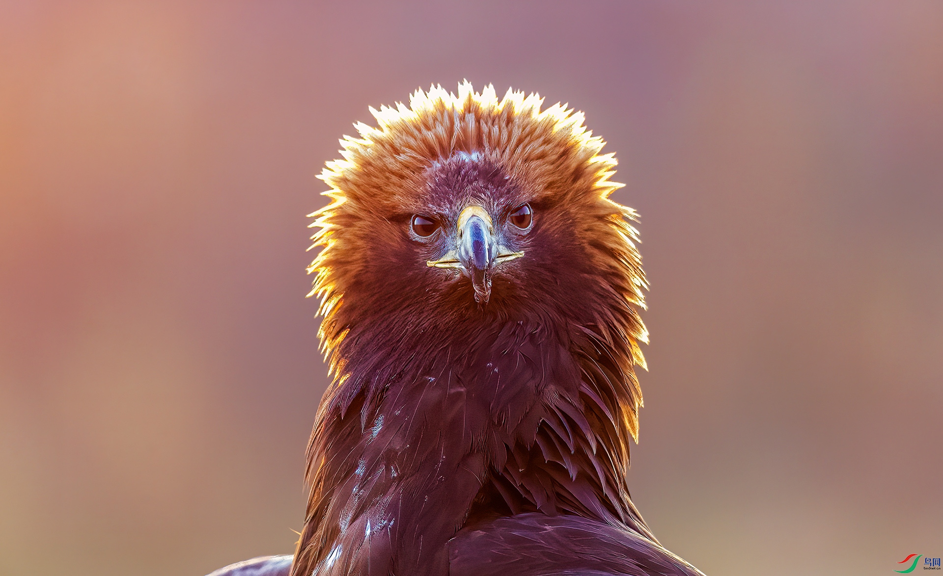 AC0I9648-2 ����.jpg2.jpg