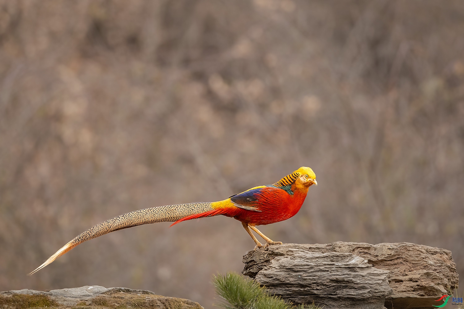 _DSC2019-2.jpg