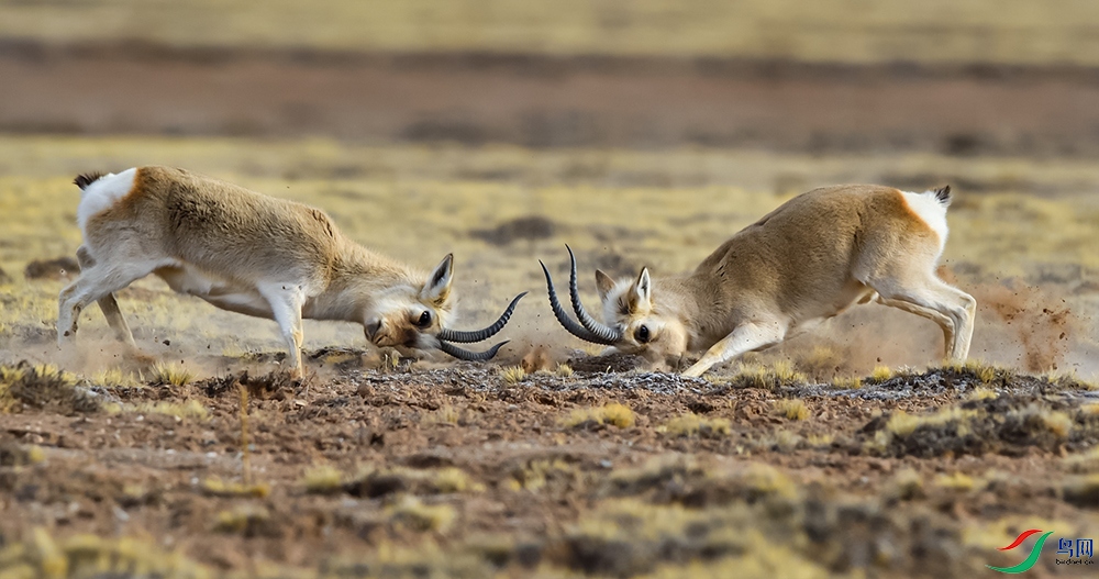 DSC_0865 ����.jpg14.jpg