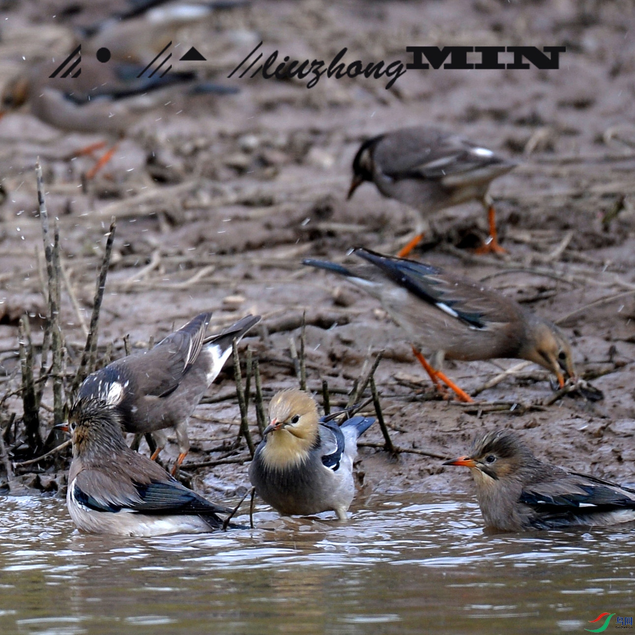 DSC_2191b.jpg