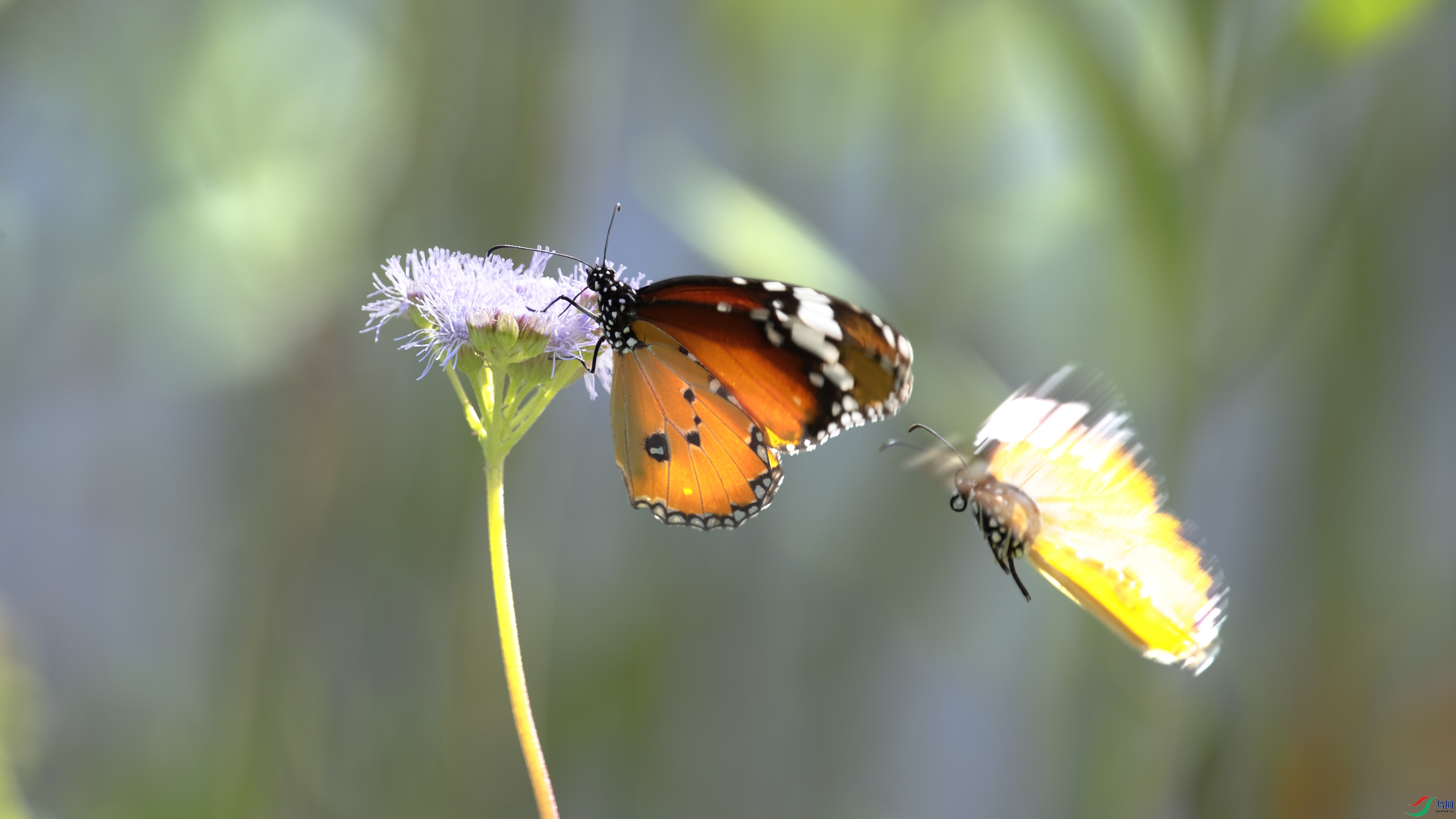 _DSC3014_DxO.jpg