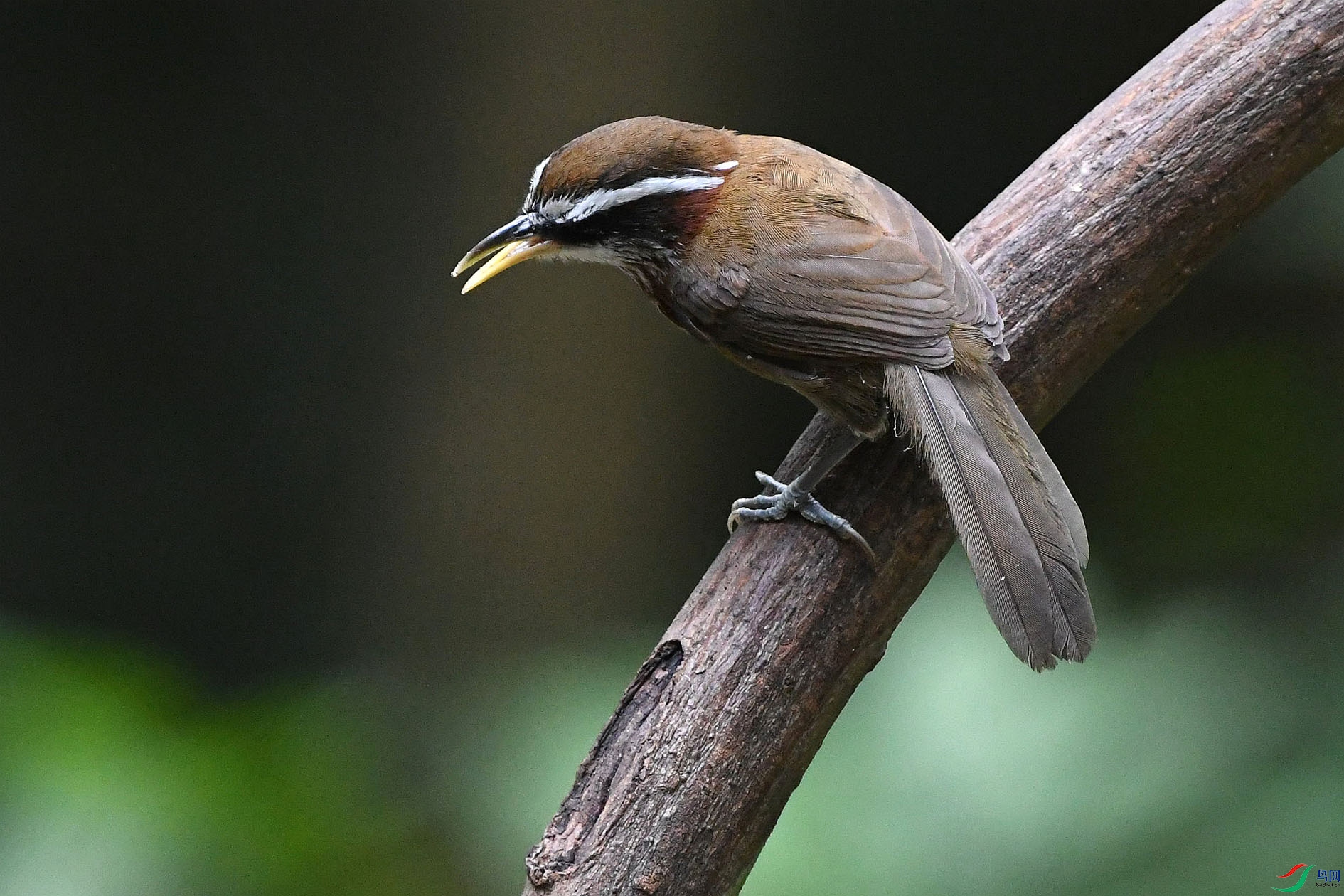 NIKON D5001650_����.jpg