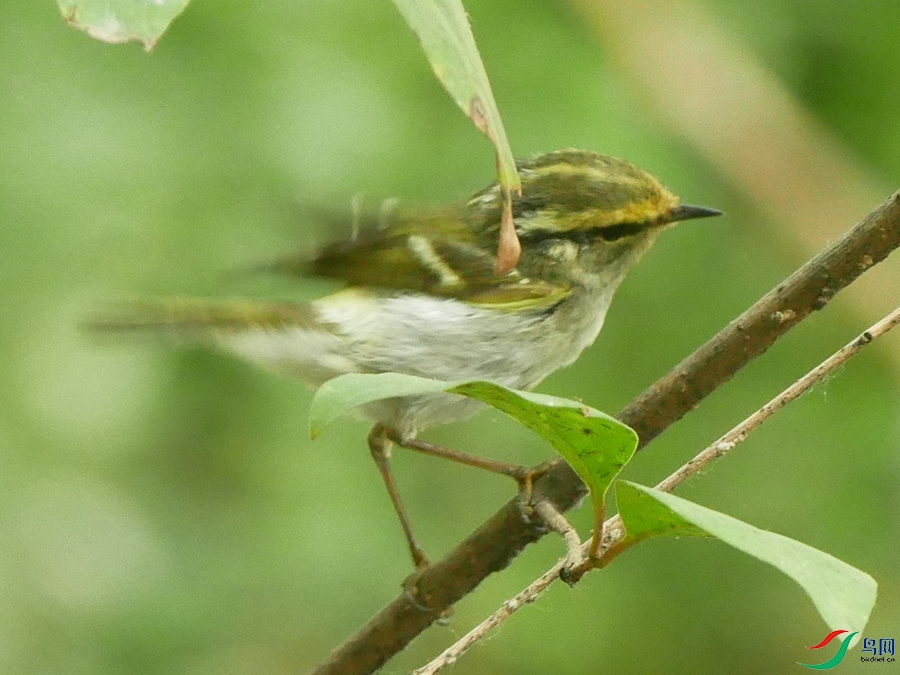 P8490523 - ����.JPG