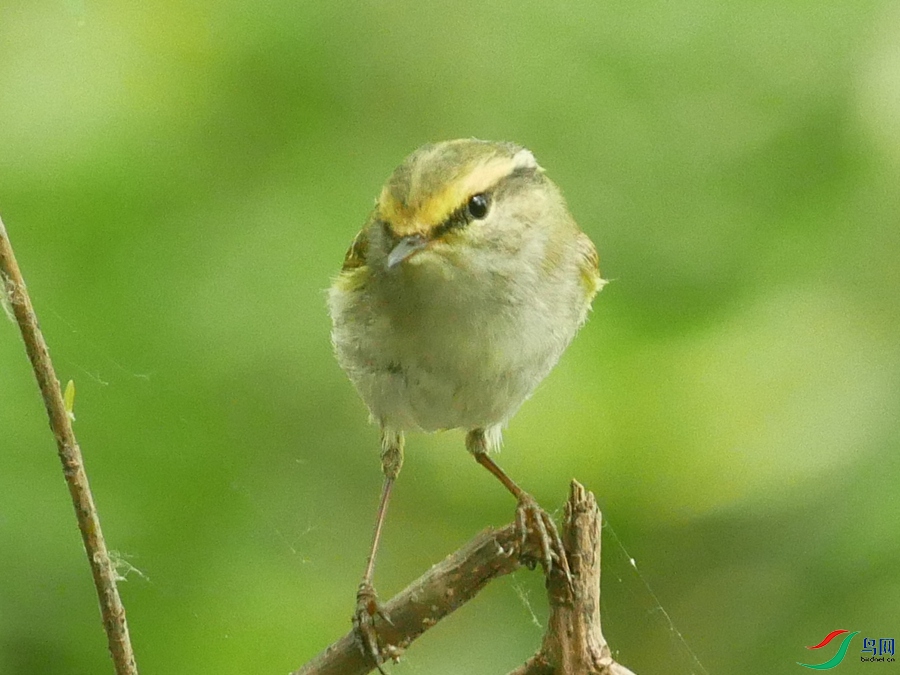 P8490547 - ����.JPG