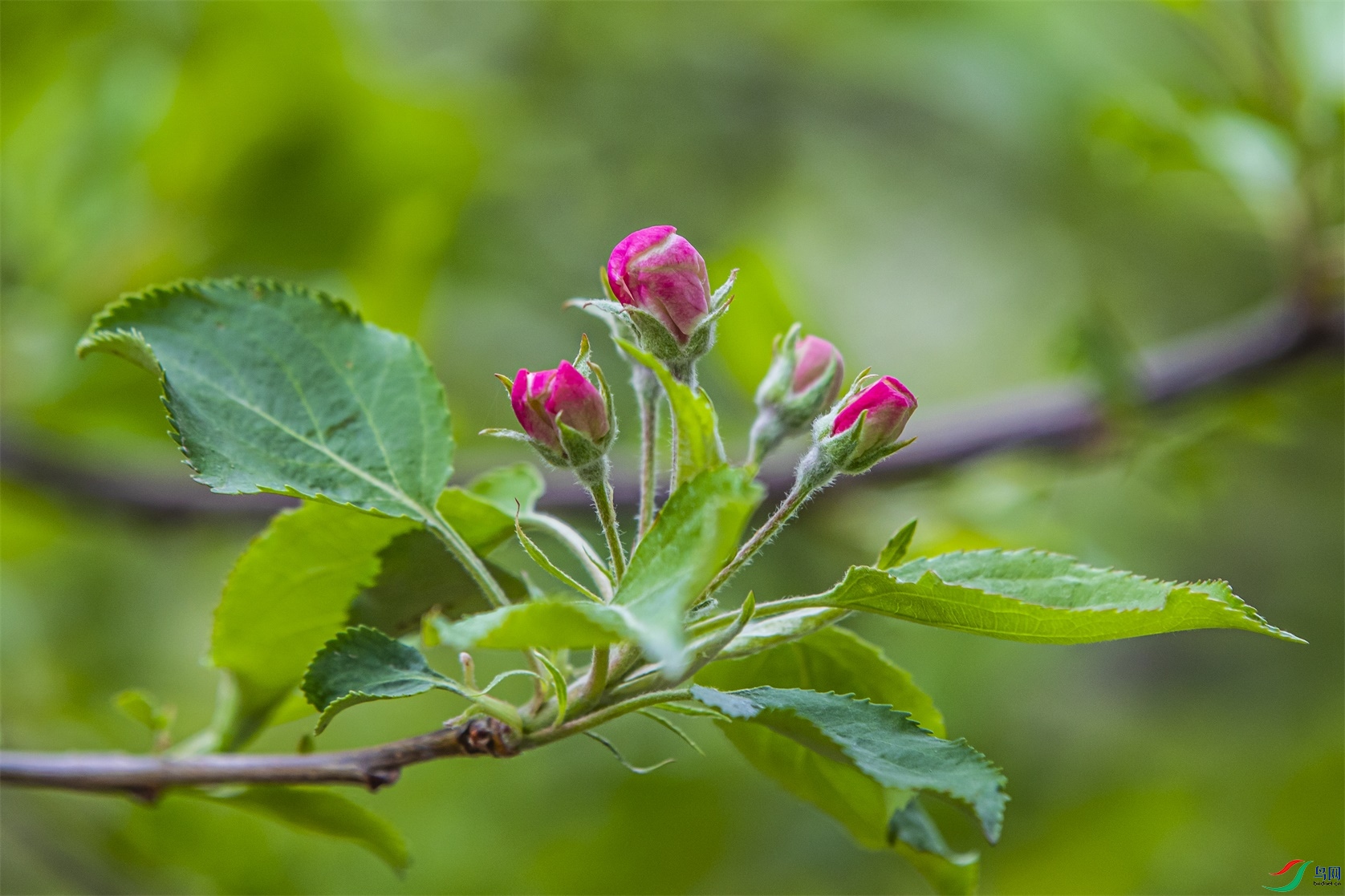 018 ����1.jpg