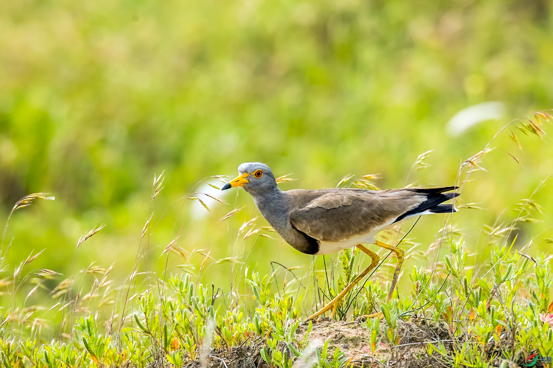_U5I0078.jpg
