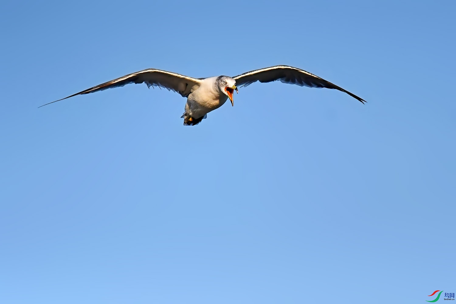DSC_3570.jpg