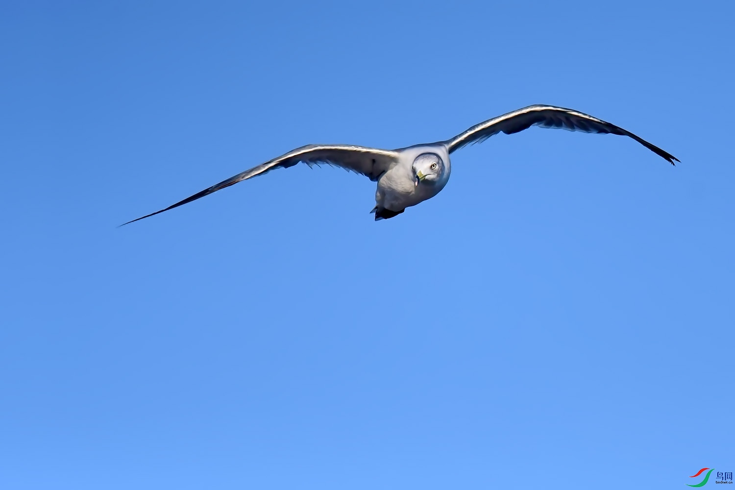 DSC_3560.jpg
