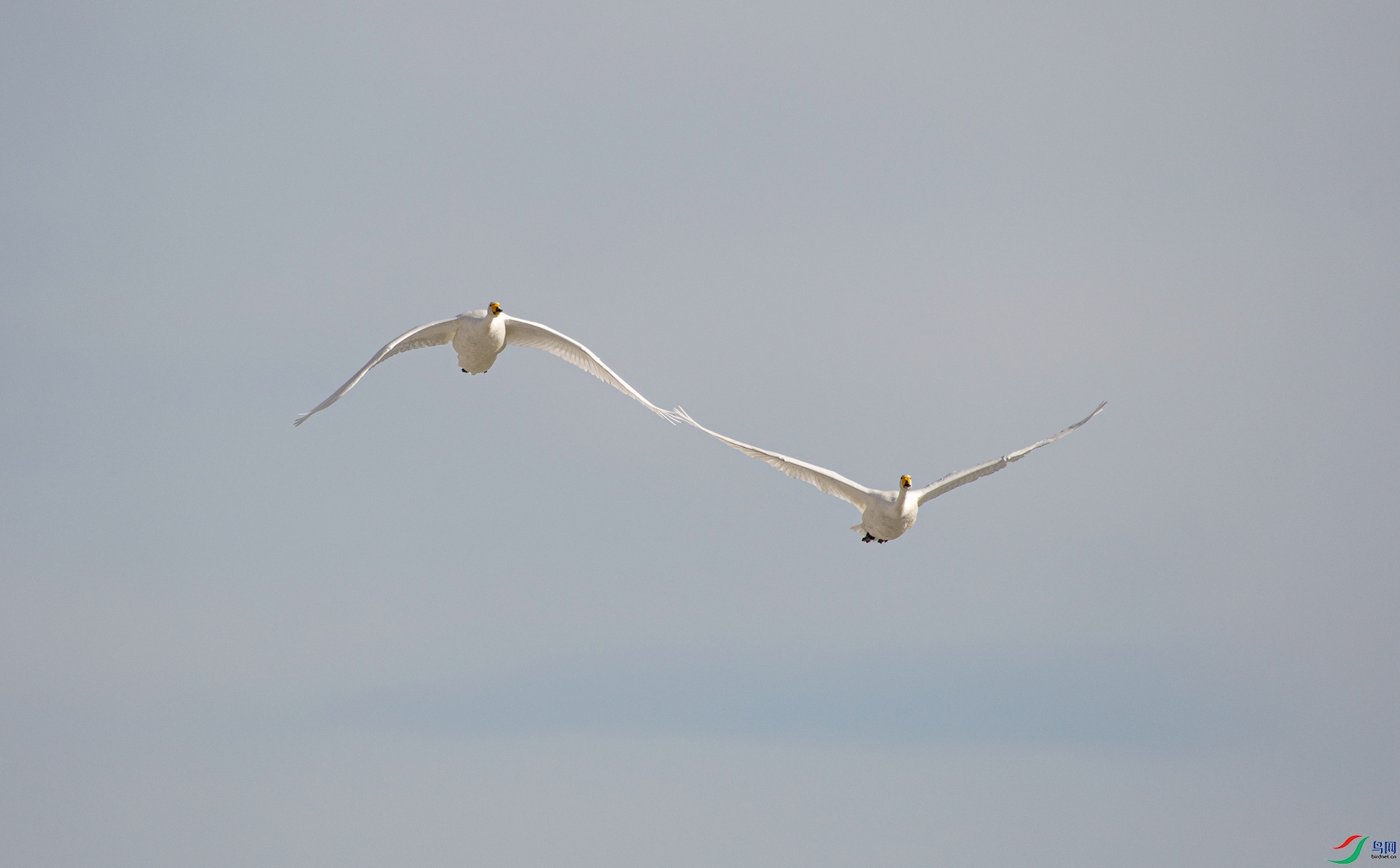 DSC_7959_����.jpg