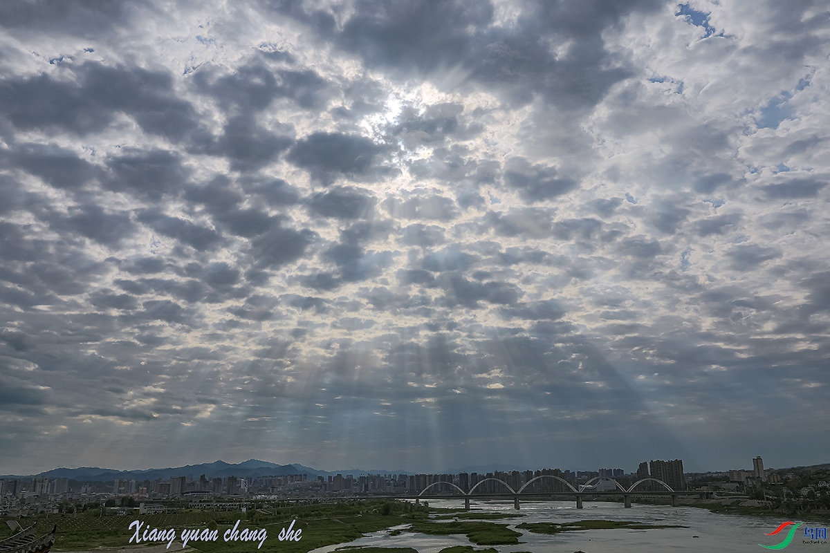 817A1425-1a ����c.jpg