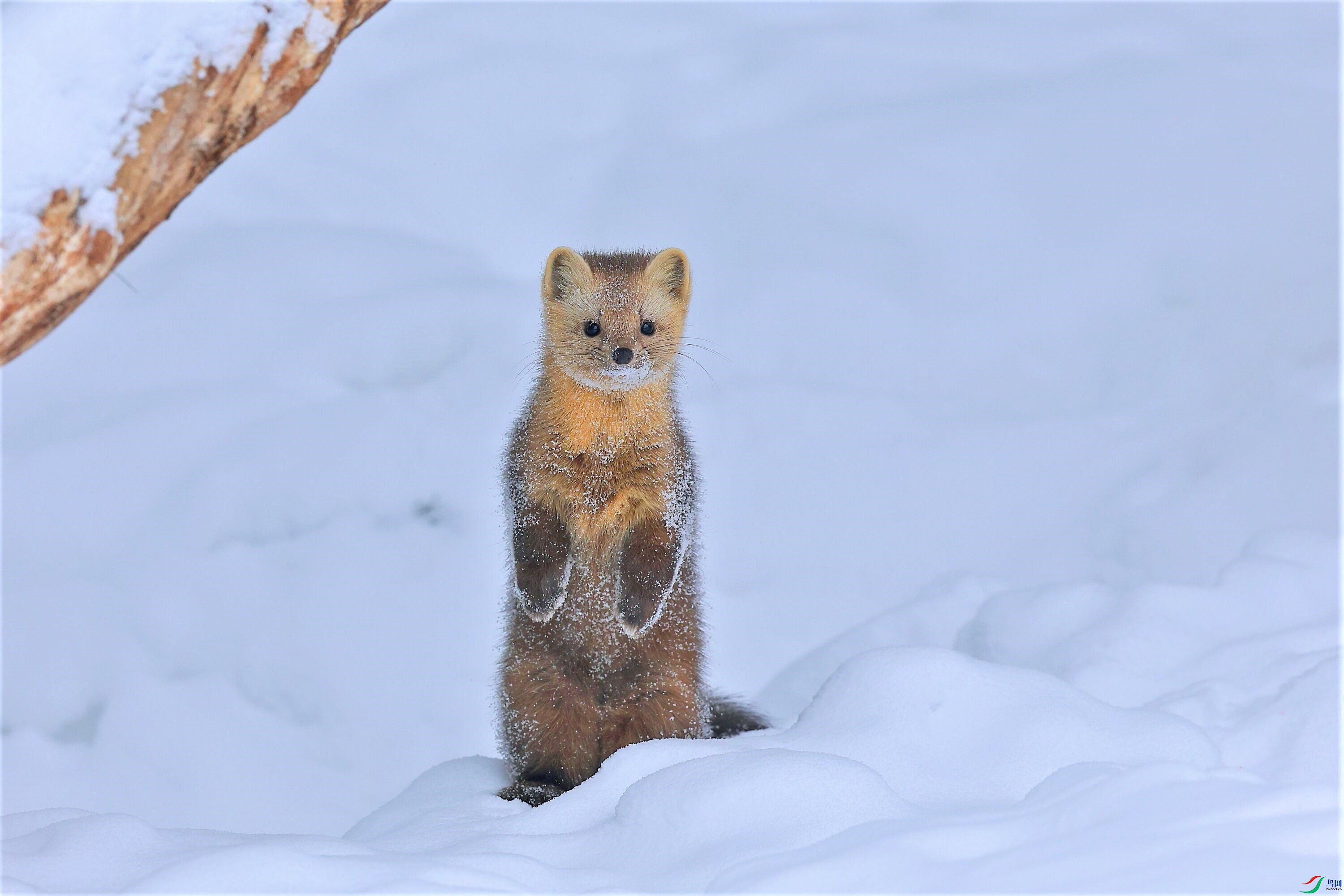 20220416124203 (2).jpg