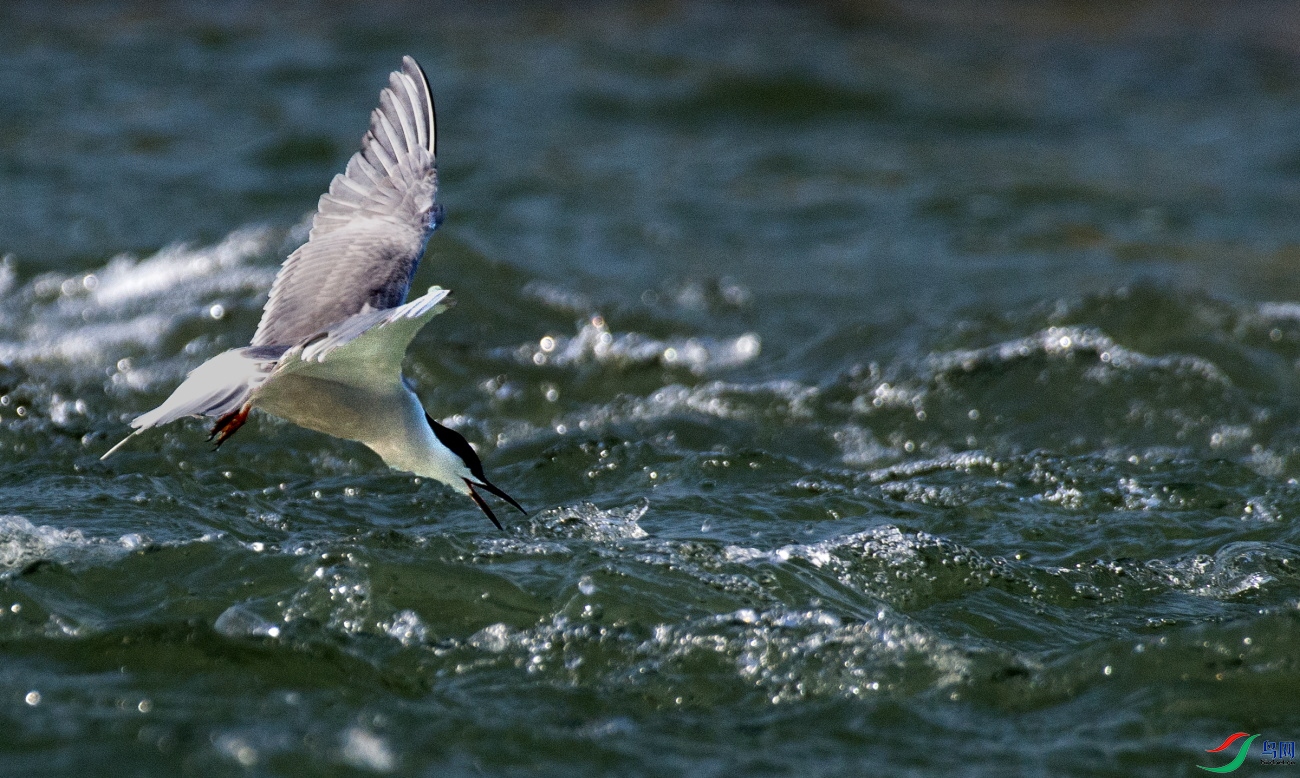DSC_6880.JPG