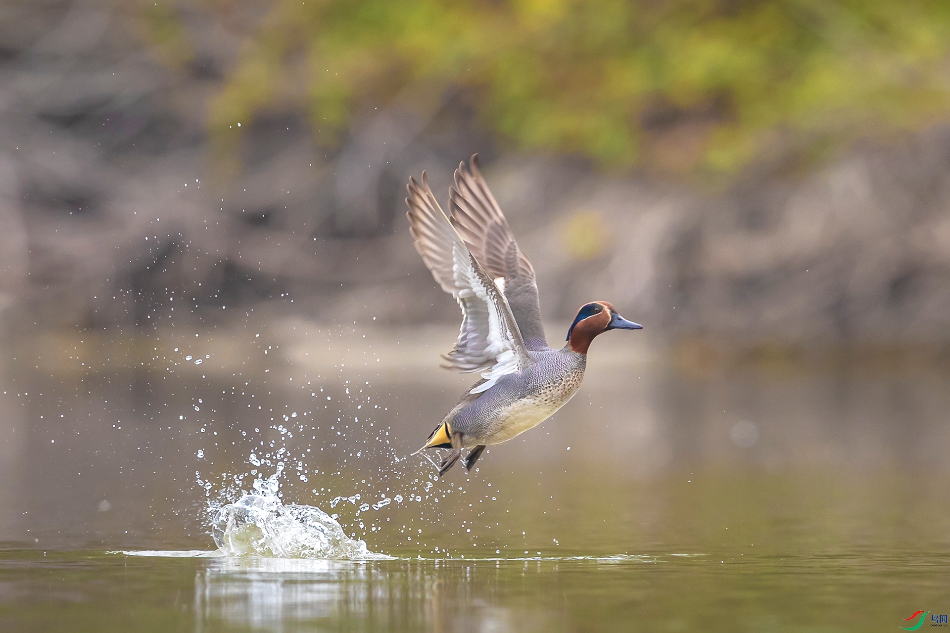 BP1I9523-2 ����.jpg