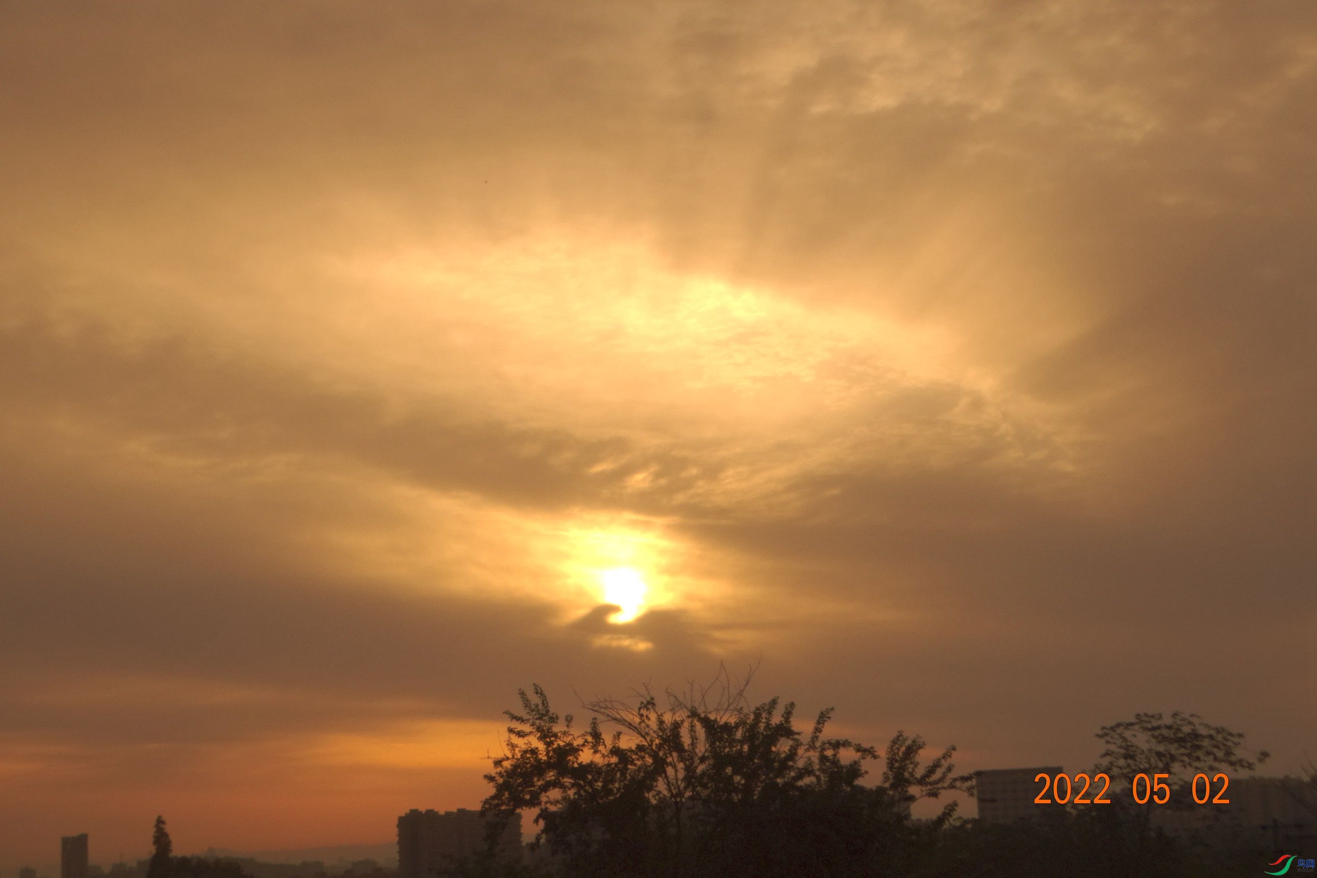 DSC01391_����.jpg