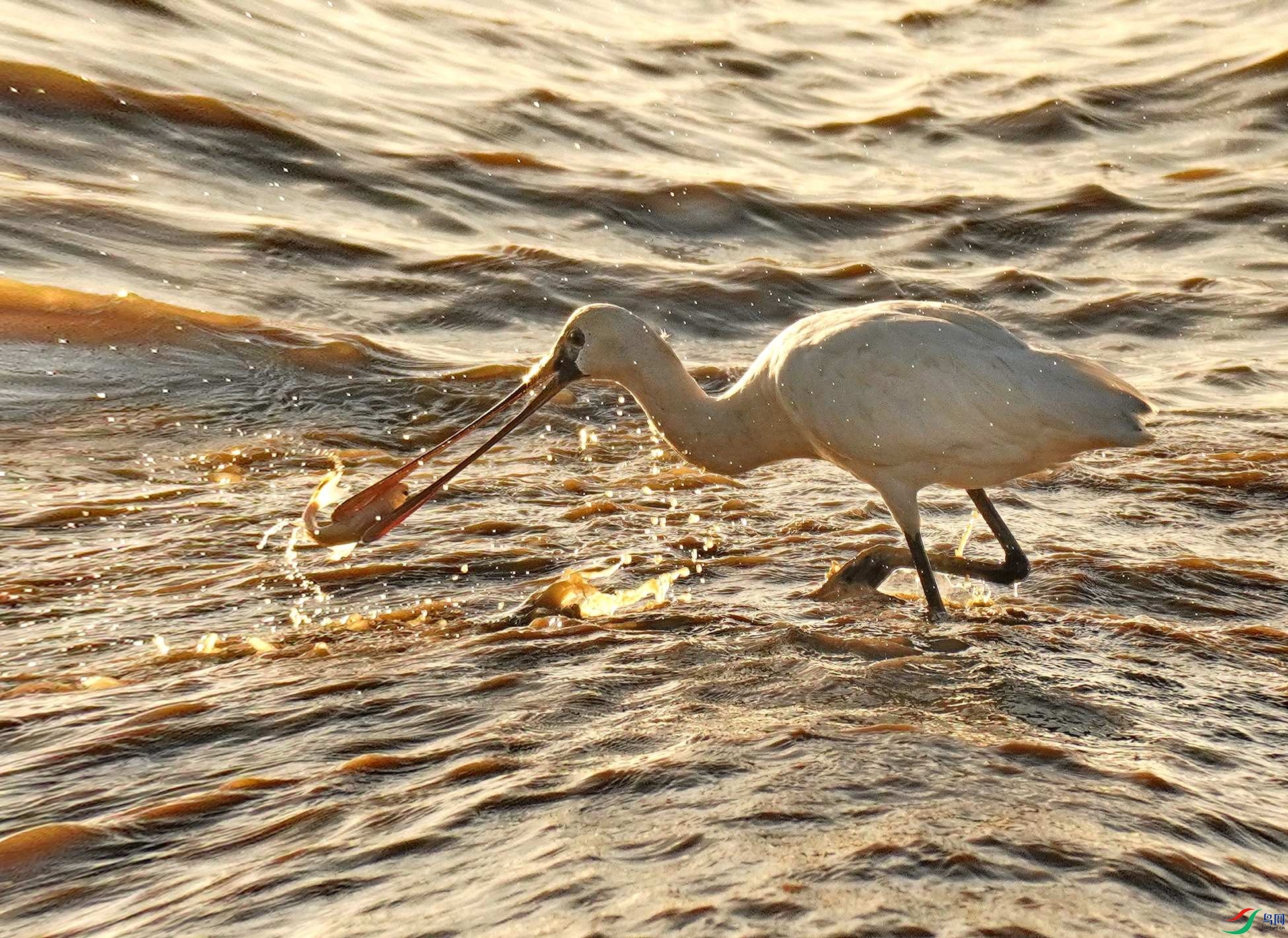 ���� �͡�.jpg