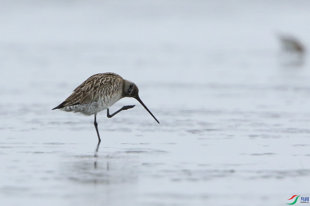 �����֣� 0F4A7581.jpg