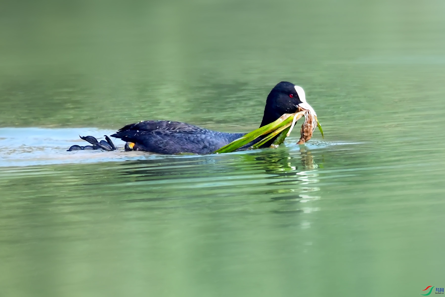 DSC_9988.jpg