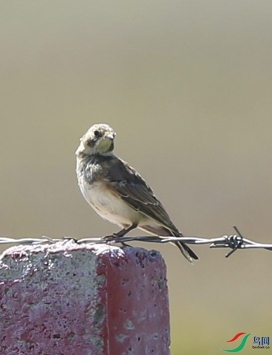 ���� (3)����.jpg