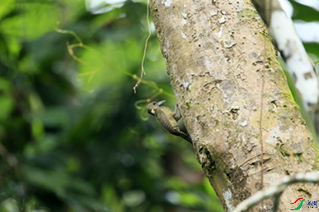 128.jpg