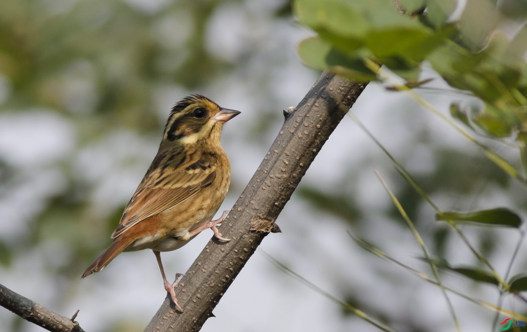 ����ɽ (11).jpg