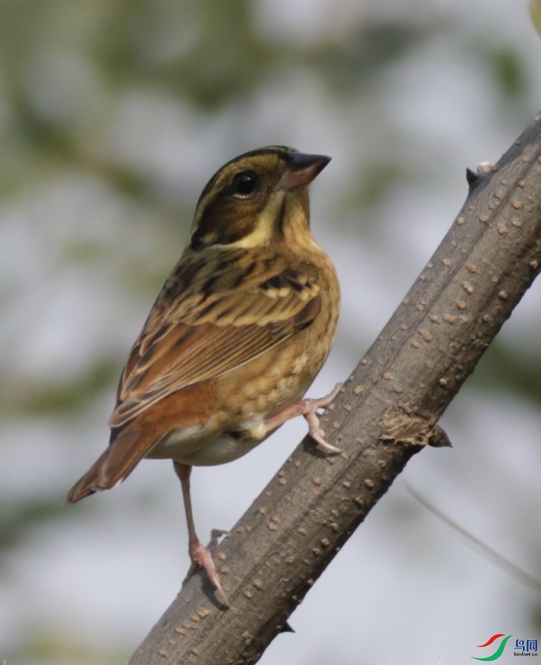 ����ɽ (5)����.jpg