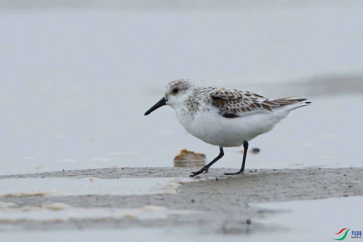 ��ֺ���� ��0F4A7180.jpg