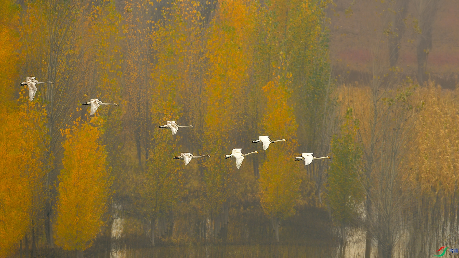 DSC_6221-2.jpg