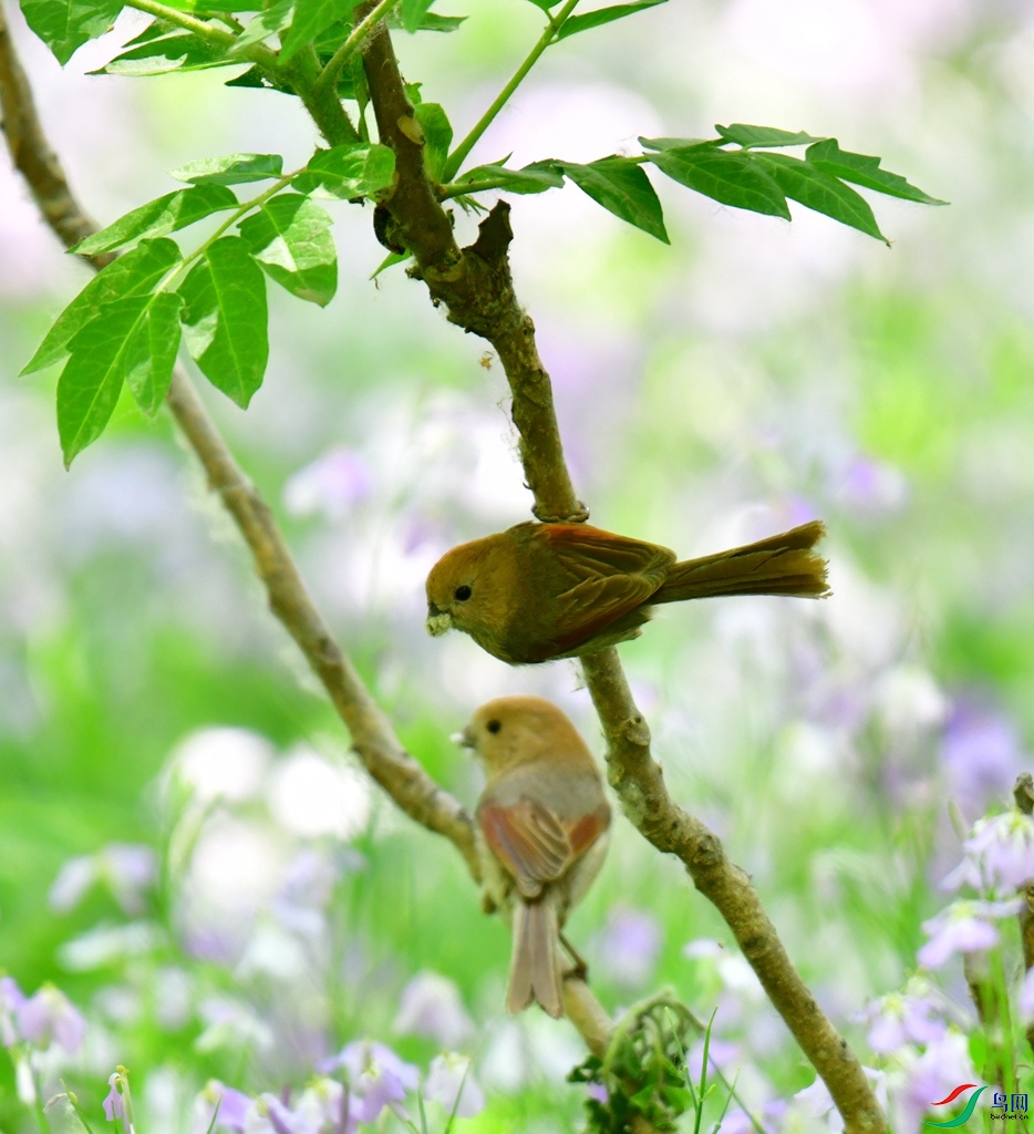 DSC_7590.JPG
