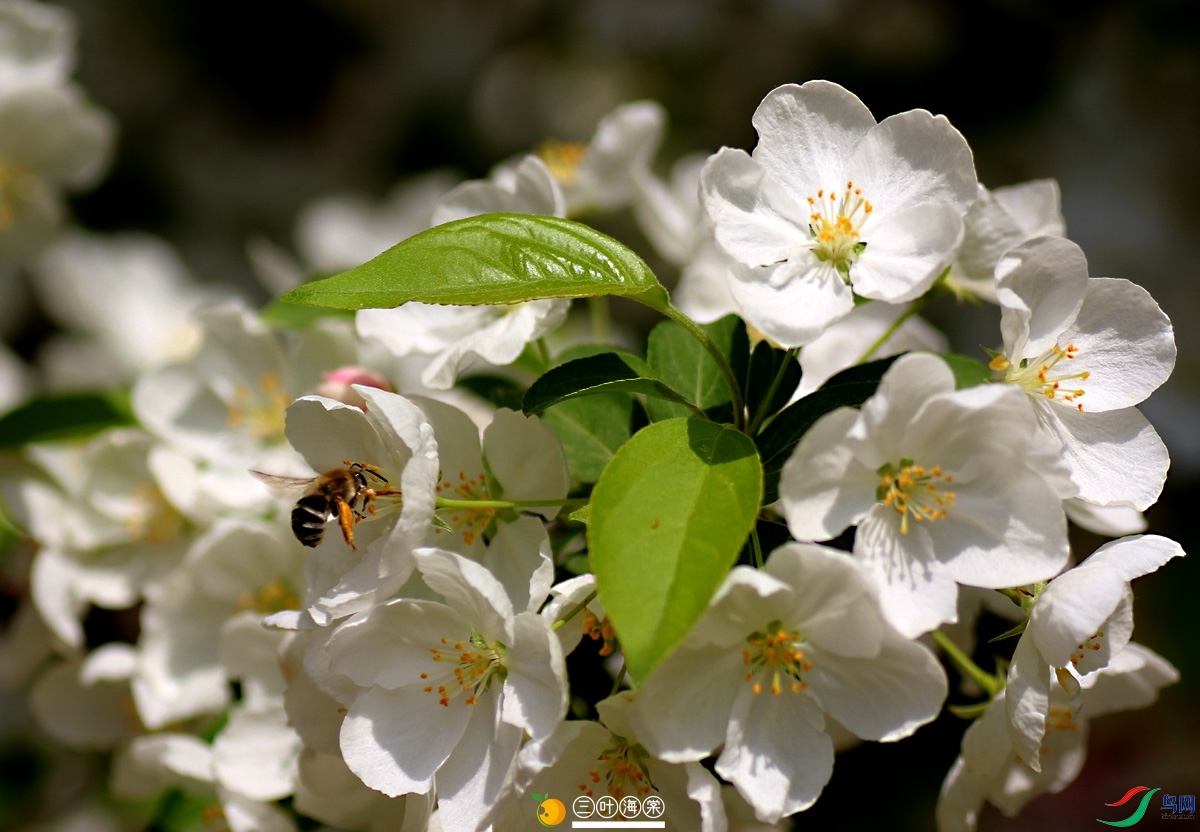 IMG_8868.jpg