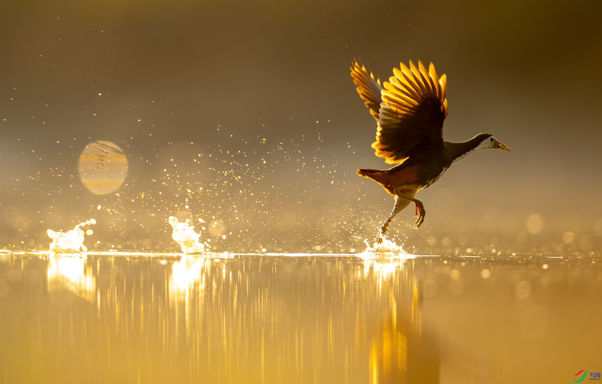 DSC_9157-2 ����1.jpg