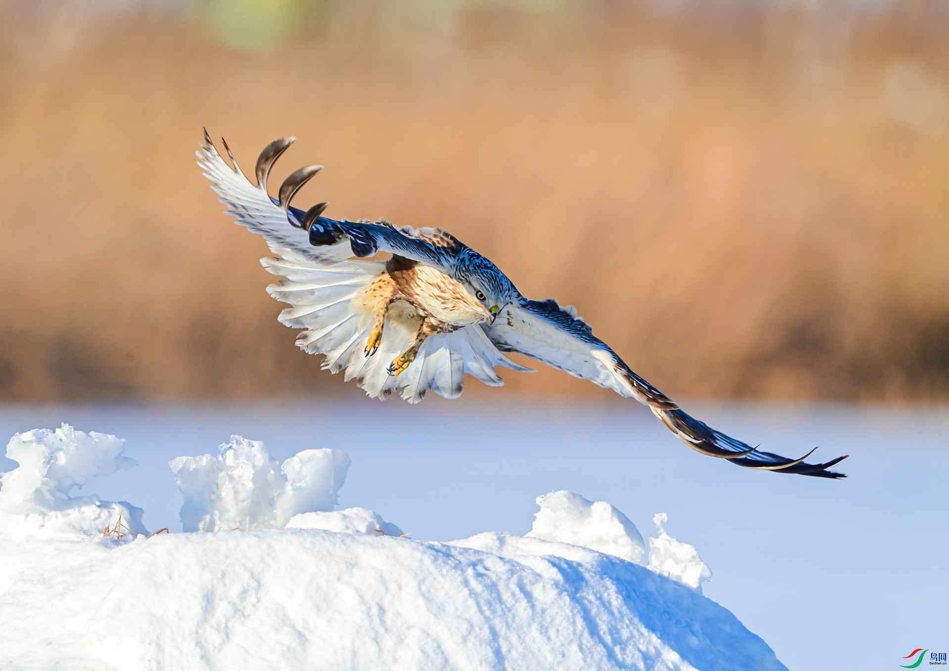 ���\չ���δ���