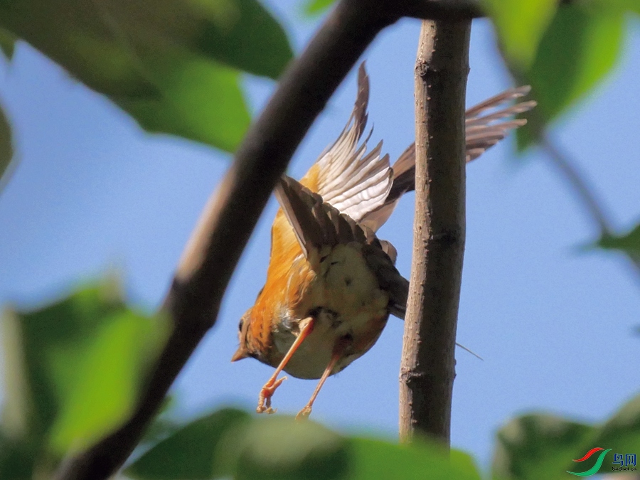 P8600344 - ����.JPG