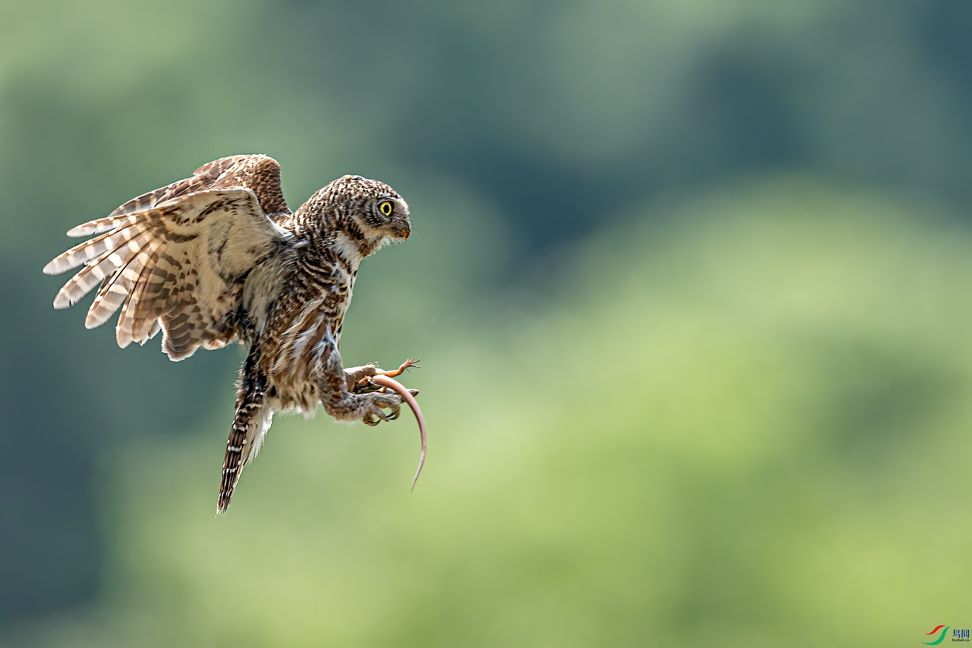 _32I7244.jpg