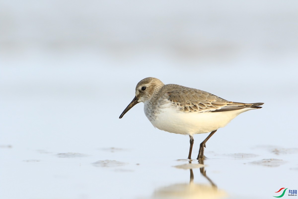 �ڸ����� �Ƿ�ֳ��0F4A6808.jpg