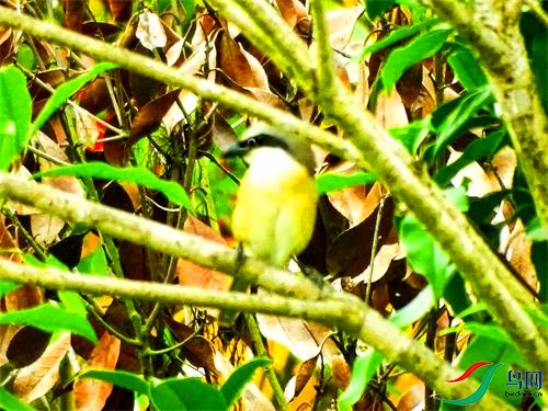 DSC01735.JPG