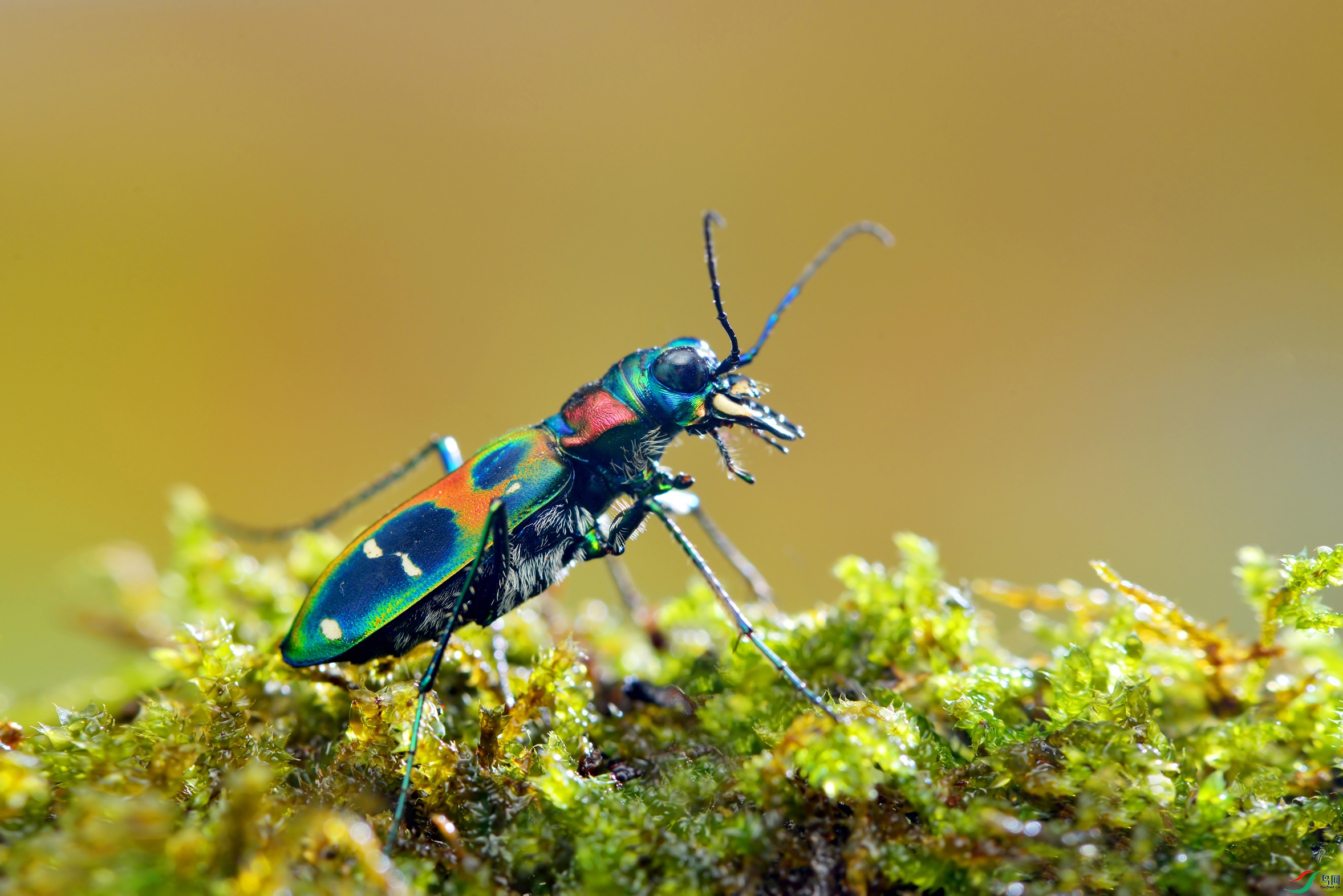 DSC_5826 ����.jpg