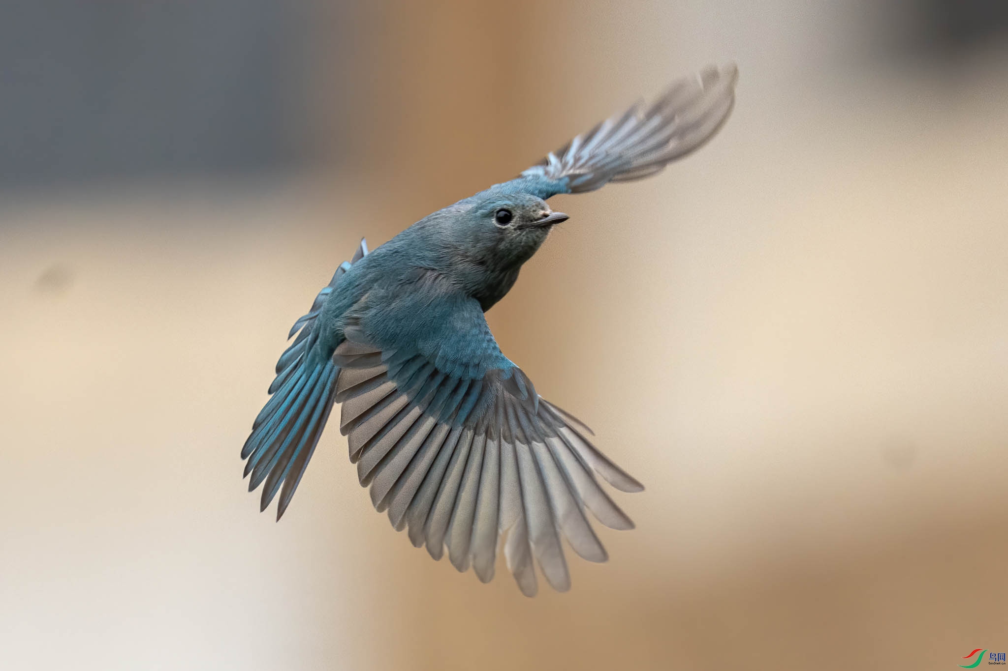 _DSC5125-Edit.jpg