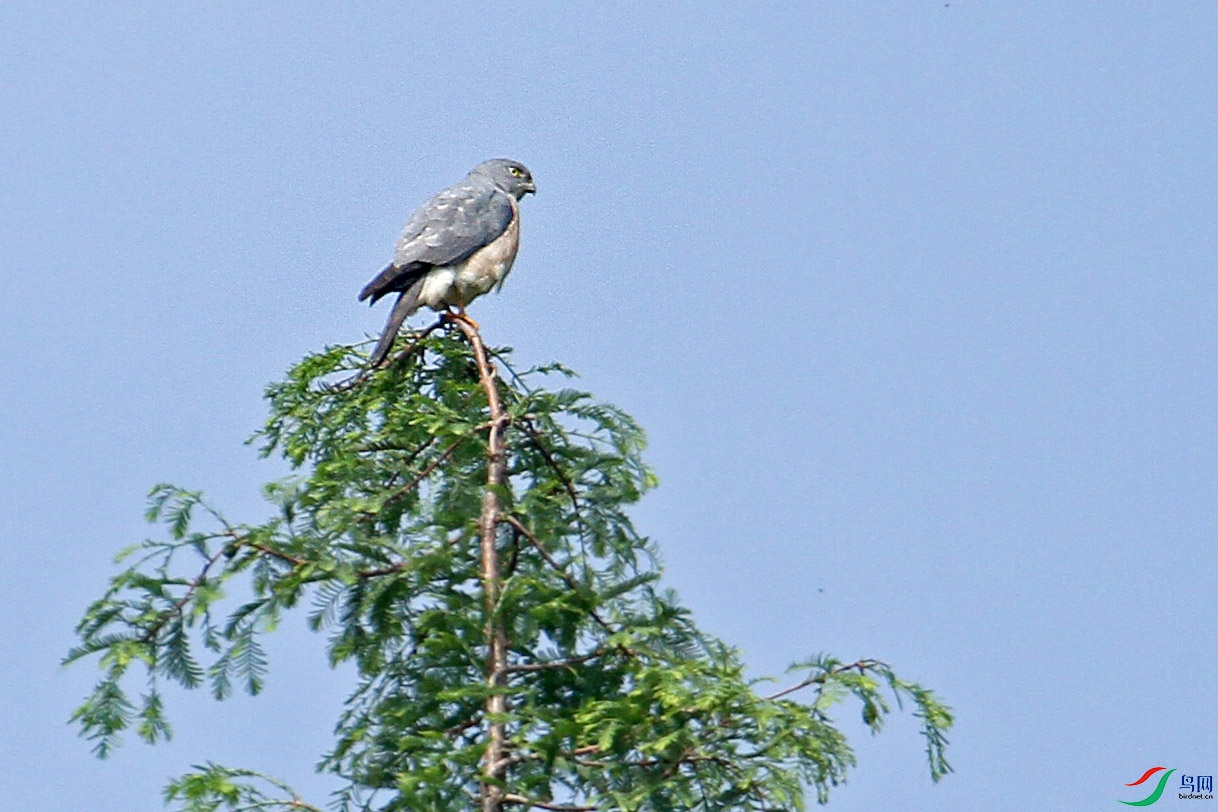 IMG_0681.jpg