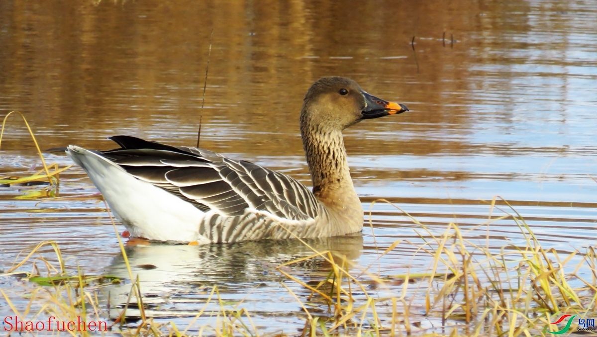 �۸��� ��ʦ���������ɹ����������ױ����и�����.jpg