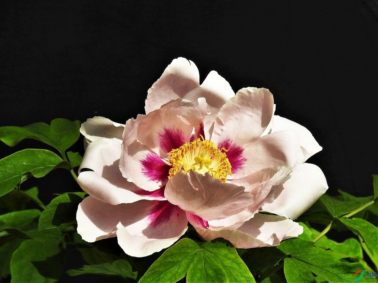 DSCN2780.JPG