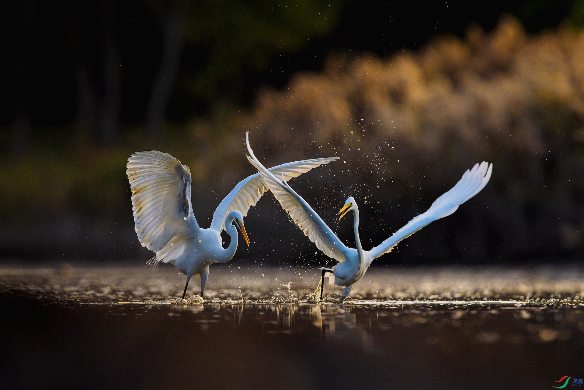 A75A0187-3 ����.jpg