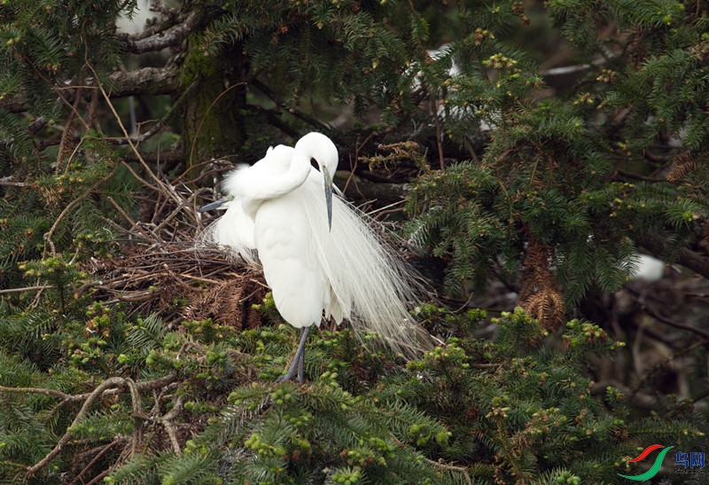 _DSC1212_���� (3).jpg