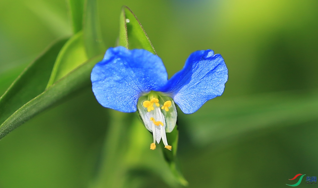 8E8A9409a.jpg