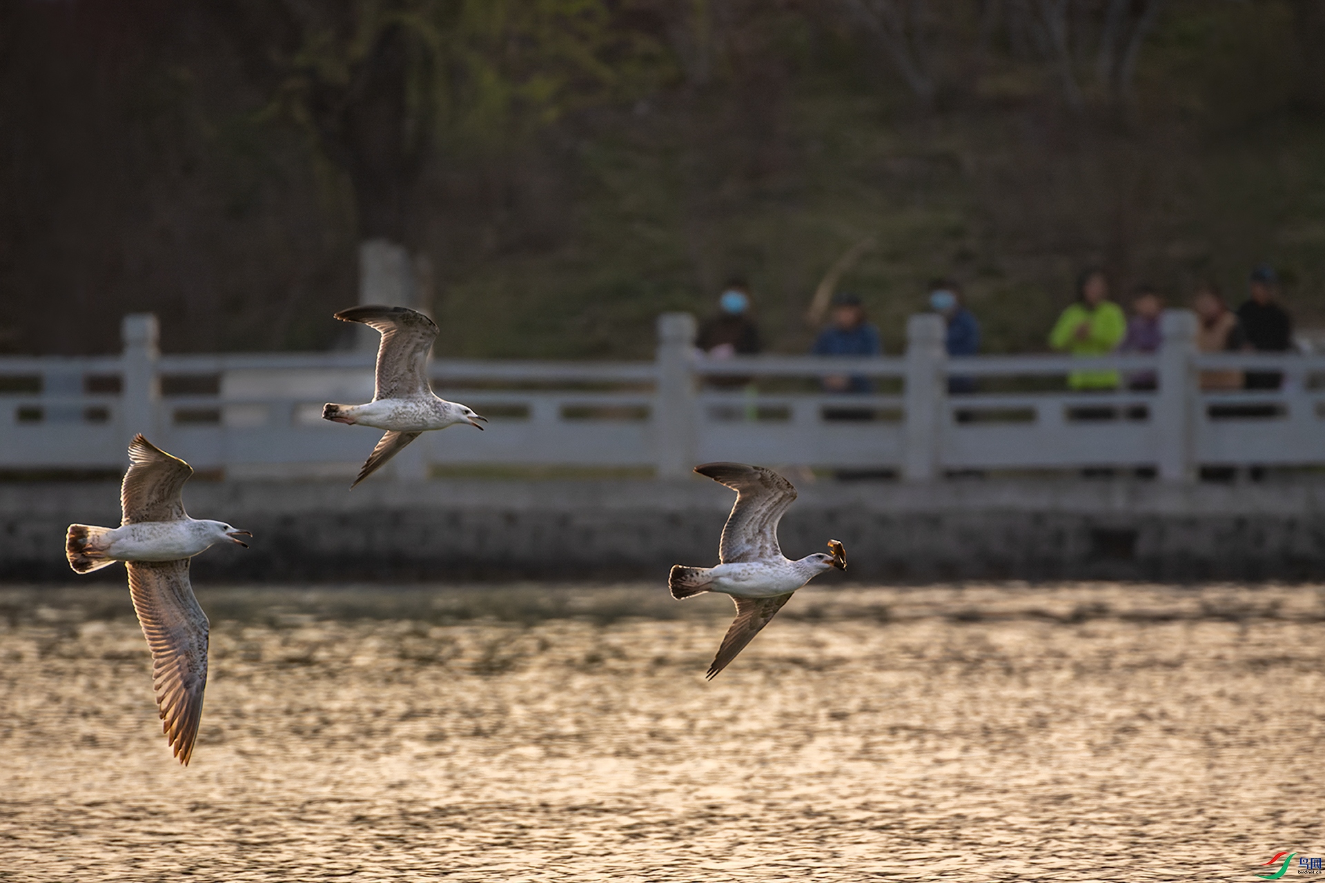 _DSC866С.jpg