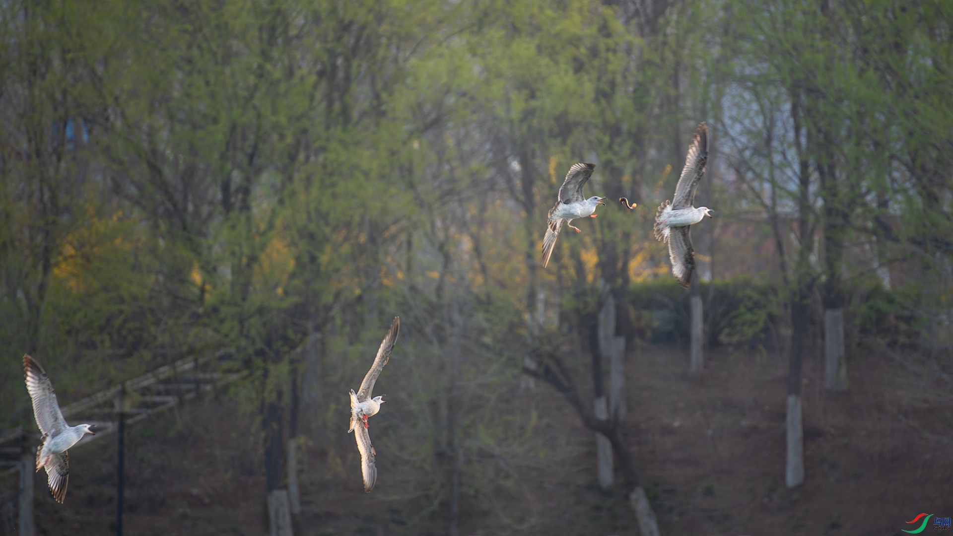 _DSC8624С.jpg