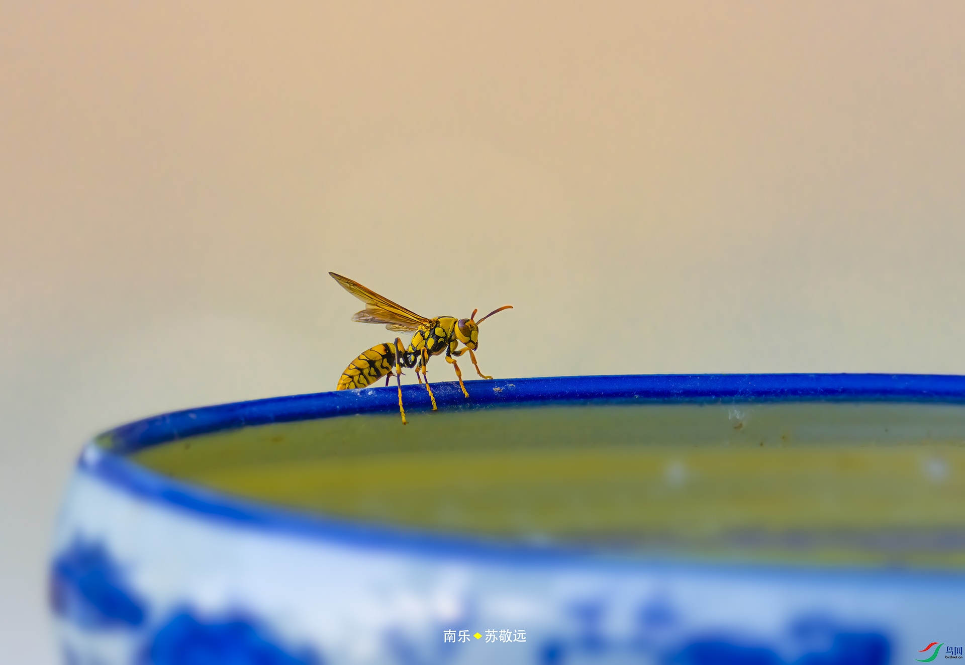 _DSC7875С.jpg